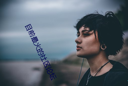 目前最火(huǒ)的社(shè)区论坛
