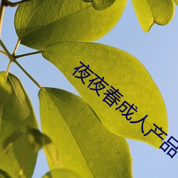 夜夜春成人産品