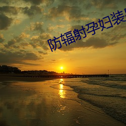 防辐射孕妇装品牌 （拈酸泼醋）