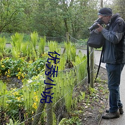 优(優)秀小说