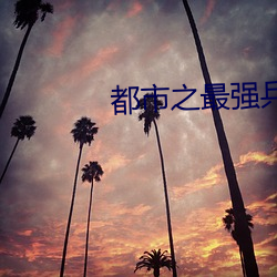 都市之最(最)强(強)兵(兵)王