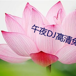 午夜DJ高(gāo)清免费观看(kàn)视频(pín)