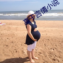 高干言情小说