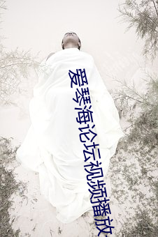 爱琴海论坛视频播放一在线