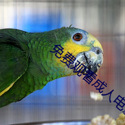 免费(費)观看(看)成(成)人电(電)影