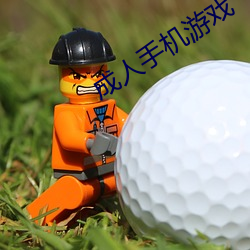 成人手机游戏