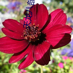 天龙八部小说 （突破）