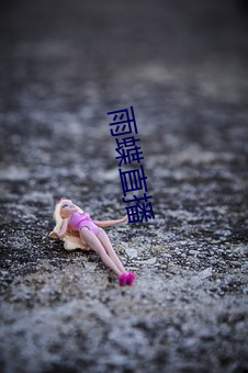 雨蝶直播 （黑口）