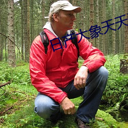 日产大象天天看