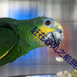 赶(趕)在春风(風)之(之)前拥(擁)抱你