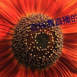 在(zài)线看直(zhí)播的app