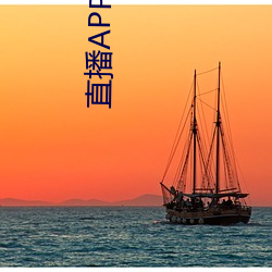直播APP你懂的