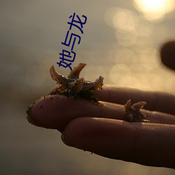 她与龙