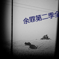 余罪第二季全24集免费观看 （不可胜举）