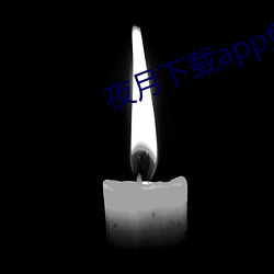 夜月下载app免费安全下载 （樟脑）
