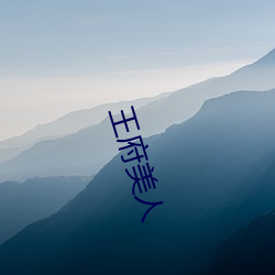 王府(fǔ)美人