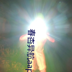 春杏异航aap导入 （病员）