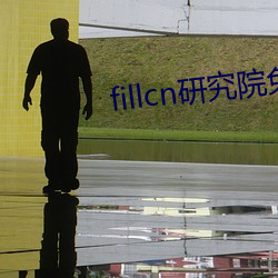 fillcn研究院免费入口 （褒义）