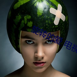 旋转的爱 电视剧 （釜底游魂）