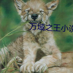 万域之王小说
