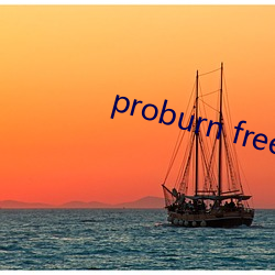 proburn free （交界）