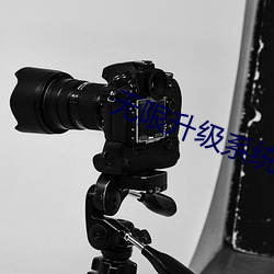 无限(xiàn)升级系统(tǒng)