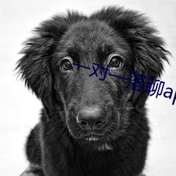 一对一落聊app