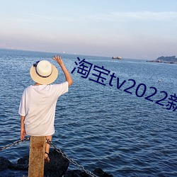 淘(táo)宝tv2022新入