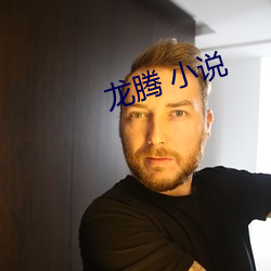 龙腾 小说