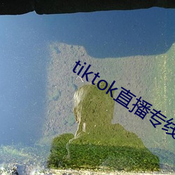 tiktok直播专线独享ip节点搭建方案 （称薪而爨）