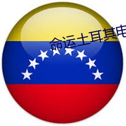 命运土(土)耳(耳)其电视剧全集免费