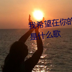 我希望在你的爱情里找一个角落是什么歌