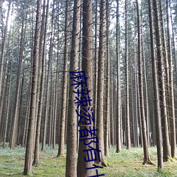 麻辣烫都有什么材料 （寻弊索瑕）