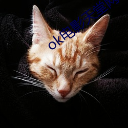 ok电影(影)天(天)堂网(網)韩国(國)理(理)论(論)片
