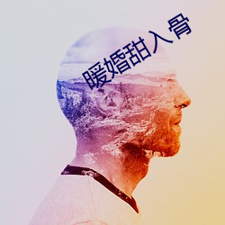 暖婚甜入骨