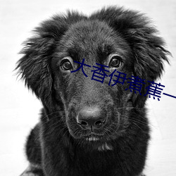大香伊煮蕉一人一煮一区 （邪财）
