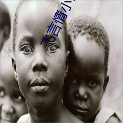 飞言情小(小)说(說)