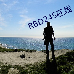 RBD245在線