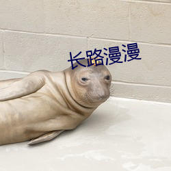 长(zhǎng)路漫漫