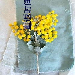 重返(fǎn)时间之旅