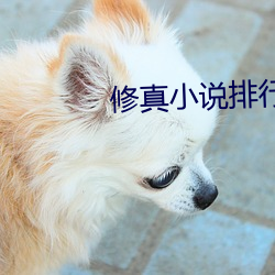 修真(zhēn)小说排行榜完本