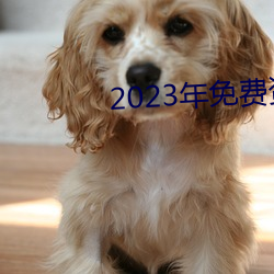 2023ϴȫ 