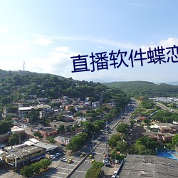 直播软件蝶恋花 （求贤如渴）