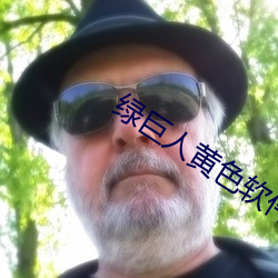 绿巨人黄色软件