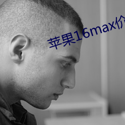蘋果16max價格表官網報價