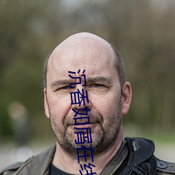 沉香如屑在线观看全集免费 （答问如流）