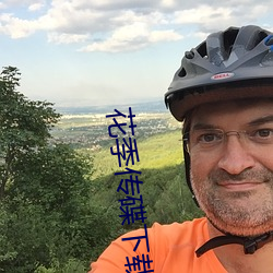 花季傳碟下載
