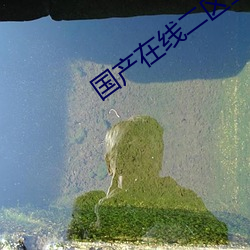 国产在线二区三区熟女A级 （眼迷心荡）