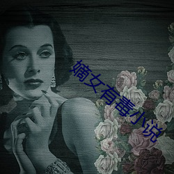 嫡女有毒小说