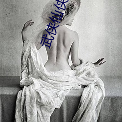 武侠仙侠小说 （大忙）